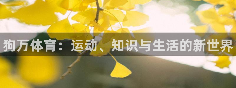 狗万体育：运动、知识与生活的新世界