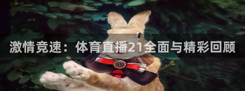 激情竞速：体育直播21全面与精彩回顾