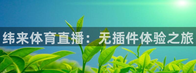 纬来体育直播：无插件体验之旅