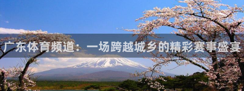 广东体育频道：一场跨越城乡的精彩赛事盛宴